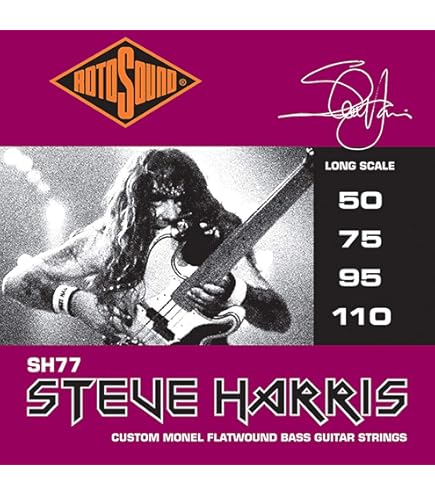 Amazon.com: Seymour Duncan SPB-4 Steve Harris Signature P